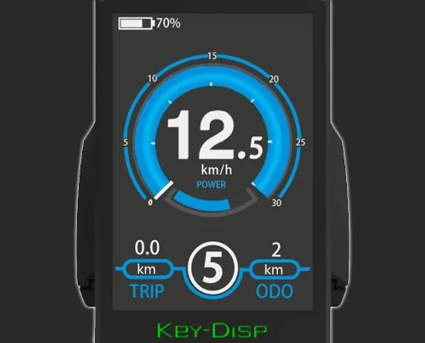 LCD DISPLAY - COMPATIBLE WITH ALL